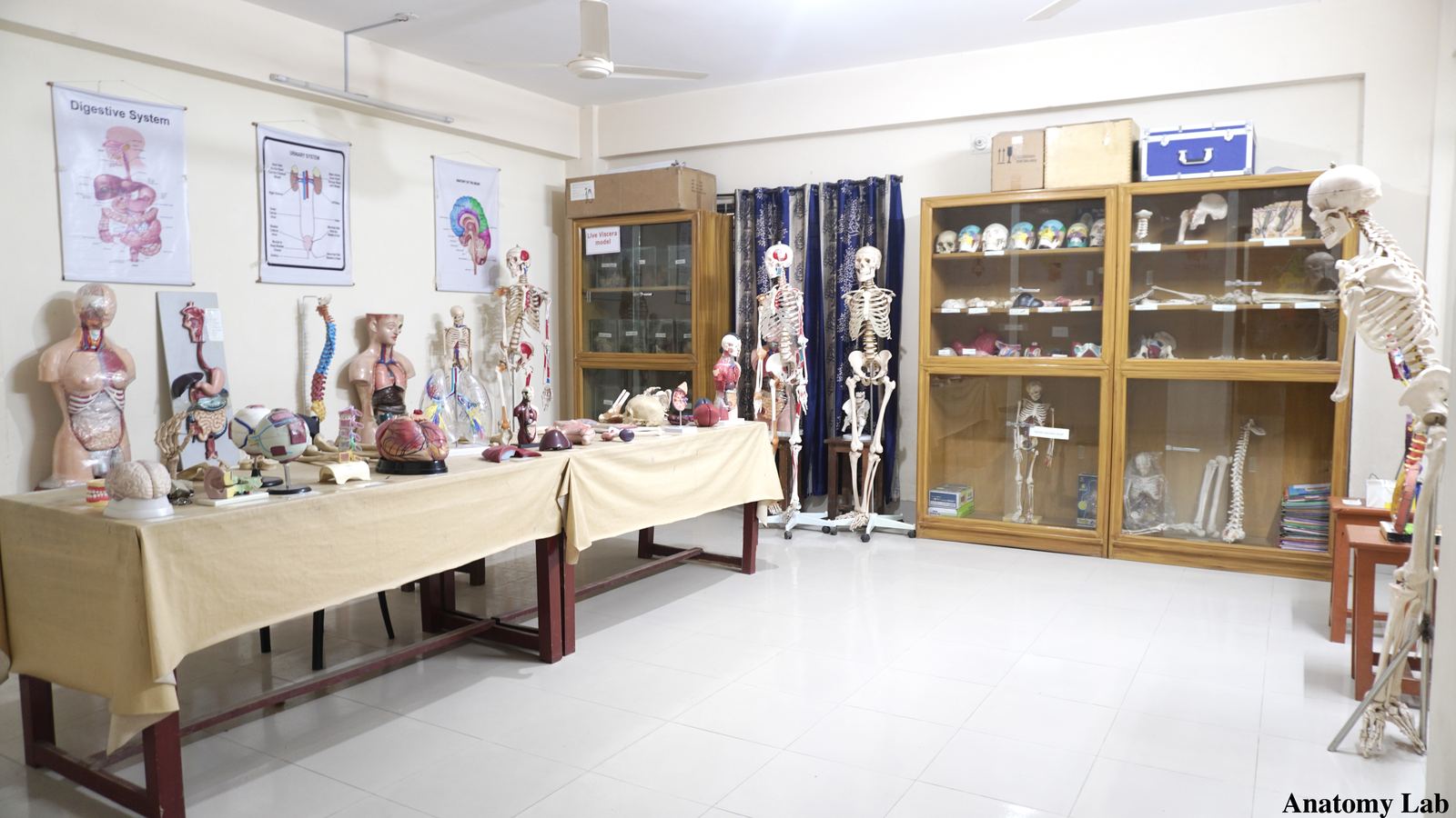 Anatomy Lab