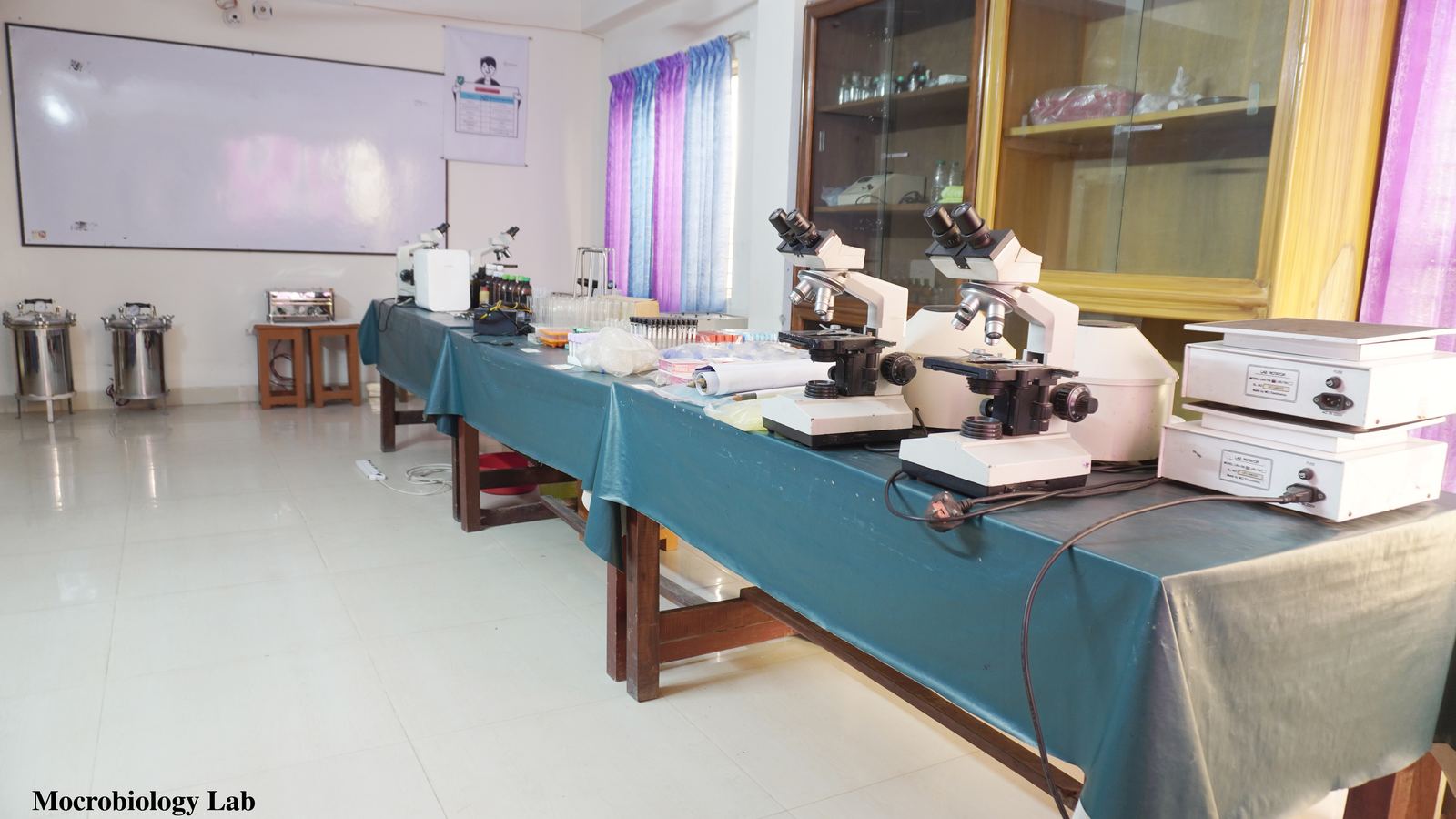 Microbiology Lab